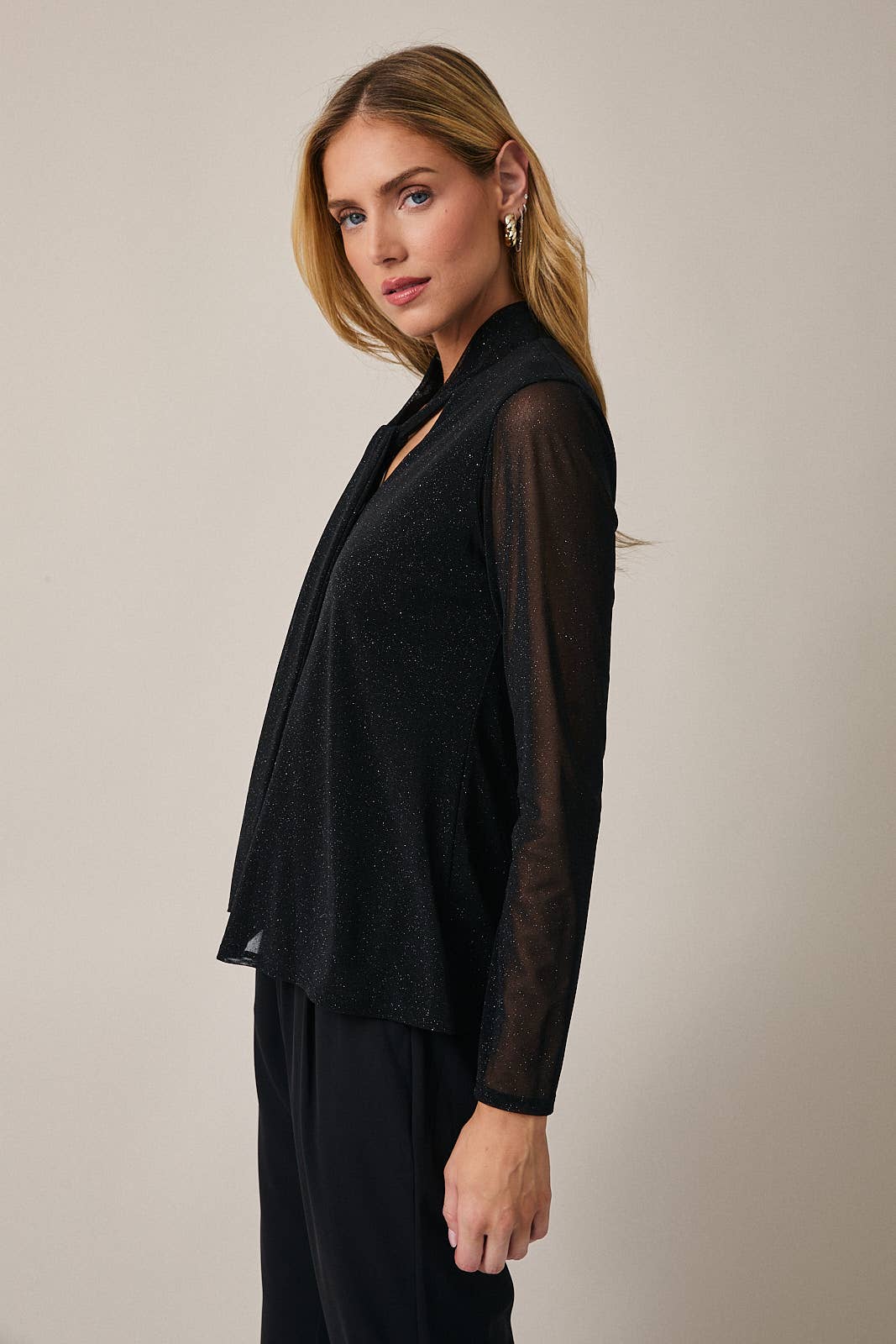 Shimmer Tie Neck Blouse